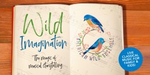 Wild_Imagination_banner-900×450